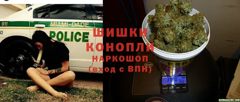 Конопля THC 21%  Тейково 